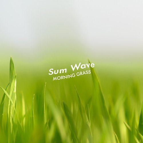 Sum Wave - Morning Grass [7330178087439]